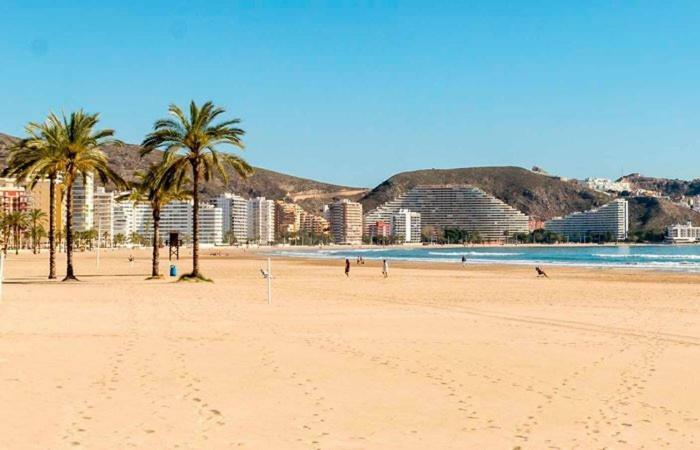 Apartamento Ensueno En Cullera Playa San Antonio Esterno foto